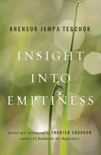 Cover image: Insight into Emptiness 9781614290131
