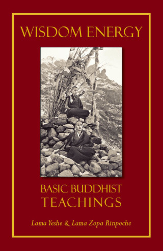 Cover image: Wisdom Energy 9781614290018
