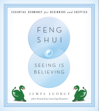 Cover image: Feng Shui: Seeing Is Believing 9781614290742