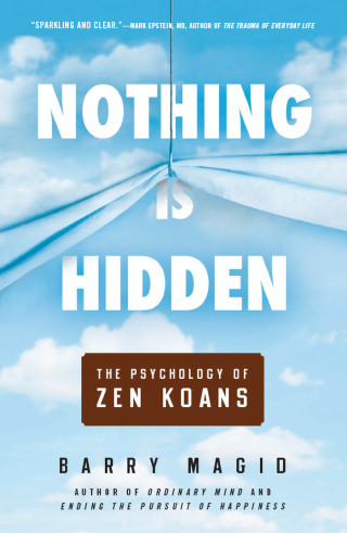 Cover image: Nothing Is Hidden 9781614290827