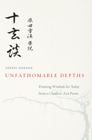 Cover image: Unfathomable Depths 9781614290834