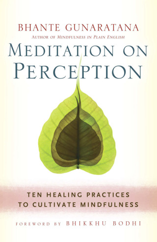 Cover image: Meditation on Perception 9781614290858