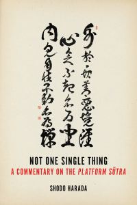 Cover image: Not One Single Thing 9781614291145