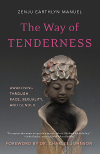 Cover image: The Way of Tenderness 9781614291251
