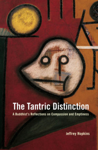 Cover image: The Tantric Distinction 9780861711543
