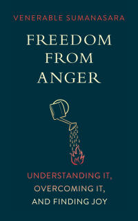 Cover image: Freedom from Anger 9781614292241
