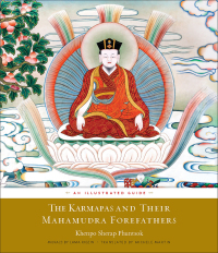 Cover image: The Karmapas and Their Mahamudra Forefathers 9781614292807