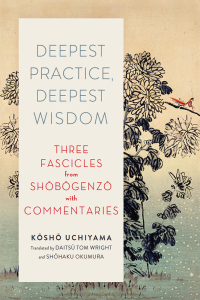 Cover image: Deepest Practice, Deepest Wisdom 9781614293026