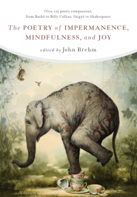 Cover image: The Poetry of Impermanence, Mindfulness, and Joy 9781614293316
