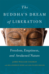 Cover image: The Buddha's Dream of Liberation 9781614293583