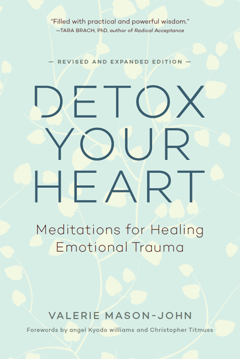 Detox Your Heart: Meditations for Healing Emotional Trauma - FULL INSTANT DOWNLOAD | PDF DOCX EPUB
