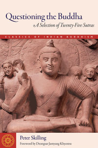 Cover image: Questioning the Buddha 9781614293934