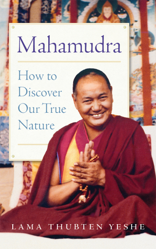 Cover image: Mahamudra 9781614293958