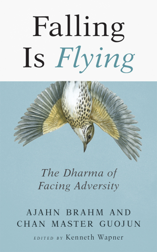 Cover image: Falling is Flying 9781614294252