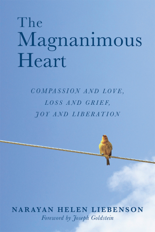 Cover image: The Magnanimous Heart 9781614294856