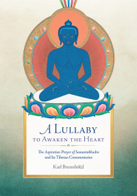 Cover image: A Lullaby to Awaken the Heart 9781614294979