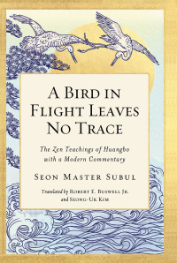 Cover image: A Bird in Flight Leaves No Trace 9781614295303
