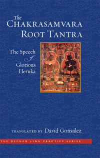 Cover image: The Chakrasamvara Root Tantra 9781614295396