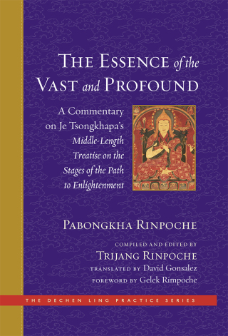Cover image: The Essence of the Vast and Profound 9781614295419