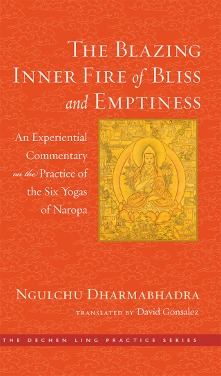 Cover image: The Blazing Inner Fire of Bliss and Emptiness 9781614295440
