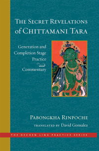 Cover image: The Secret Revelations of Chittamani Tara 9781614295655
