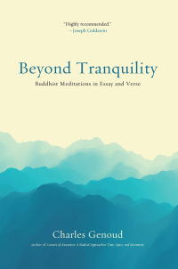 Cover image: Beyond Tranquility 9781614295815