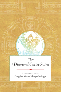 Cover image: The Diamond Cutter Sutra 9781614295860