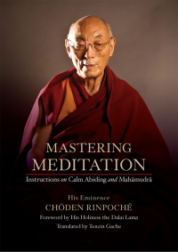 Cover image: Mastering Meditation 9781614296188