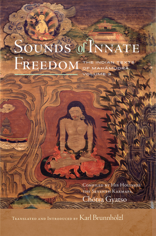 Cover image: Sounds of Innate Freedom 9781614297109