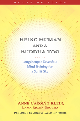 Cover image: Being Human and a Buddha Too 9781614297581