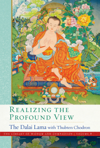 Cover image: Realizing the Profound View 9781614298403