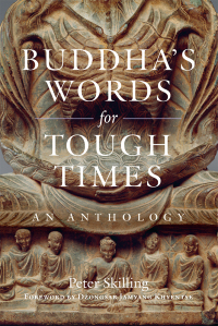 Cover image: Buddha's Words for Tough Times 9781614298892