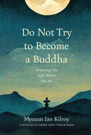 Cover image: Do Not Try to Become a Buddha 9781614298946
