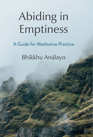 Cover image: Abiding in Emptiness 9781614299172