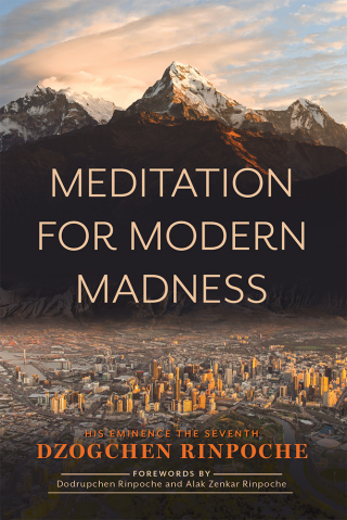 Cover image: Meditation for Modern Madness 9781614299486