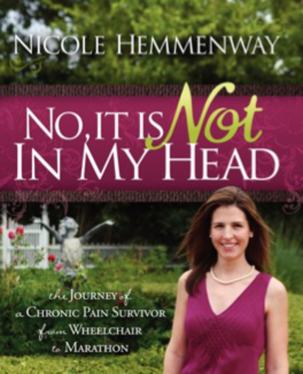 No, It Is Not In My Head The Journey of a Chronic Pain Survivor from Wheelchair to Marathon