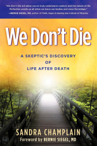 Immagine di copertina: We Don't Die 9781614483823