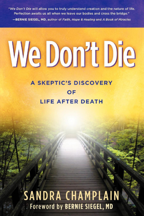 We Don't Die: A Skeptic's Discovery of Life After Death - FULL INSTANT DOWNLOAD | PDF DOCX EPUB