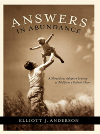 Cover image: Answers in Abundance 9781600372339