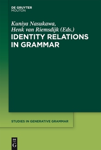 Titelbild: Identity Relations in Grammar 1st edition 9781614518181