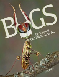 Cover image: Bugs 9780890518359