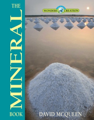 Cover image: The Mineral Book 9780890518021