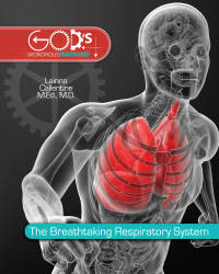 表紙画像: Breathtaking Respiratory System 9780890518625
