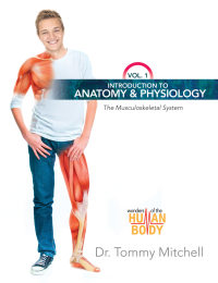 Imagen de portada: Introduction to Anatomy & Physiology: The Musculoskeletal System Vol 1 9780890518656