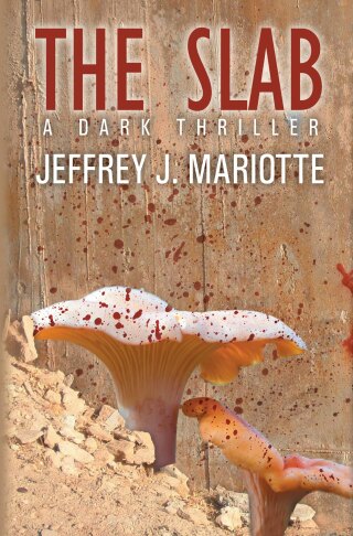 Cover image: The Slab 9781614753018