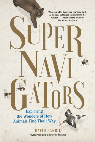 Imagen de portada: Supernavigators: Exploring the Wonders of How Animals Find Their Way 9781615196692
