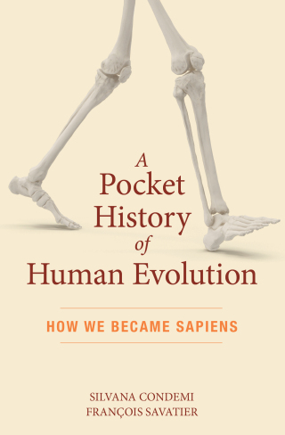 Cover image: A Pocket History of Human Evolution: How We Became Sapiens 9781615196043