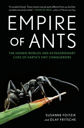 Immagine di copertina: Planet of the Ants: The Hidden Worlds and Extraordinary Lives of Earth's Tiny Conquerors 9781615198504