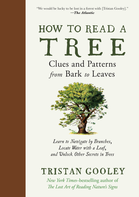How to Read a Tree: Clues and Patterns from Bark to Leaves (Natural Navigation), 1st Edition - FULL INSTANT DOWNLOAD | PDF DOCX EPUB