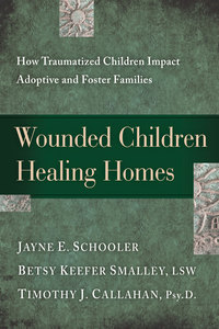 Omslagafbeelding: Wounded Children, Healing Homes 9781615215683
